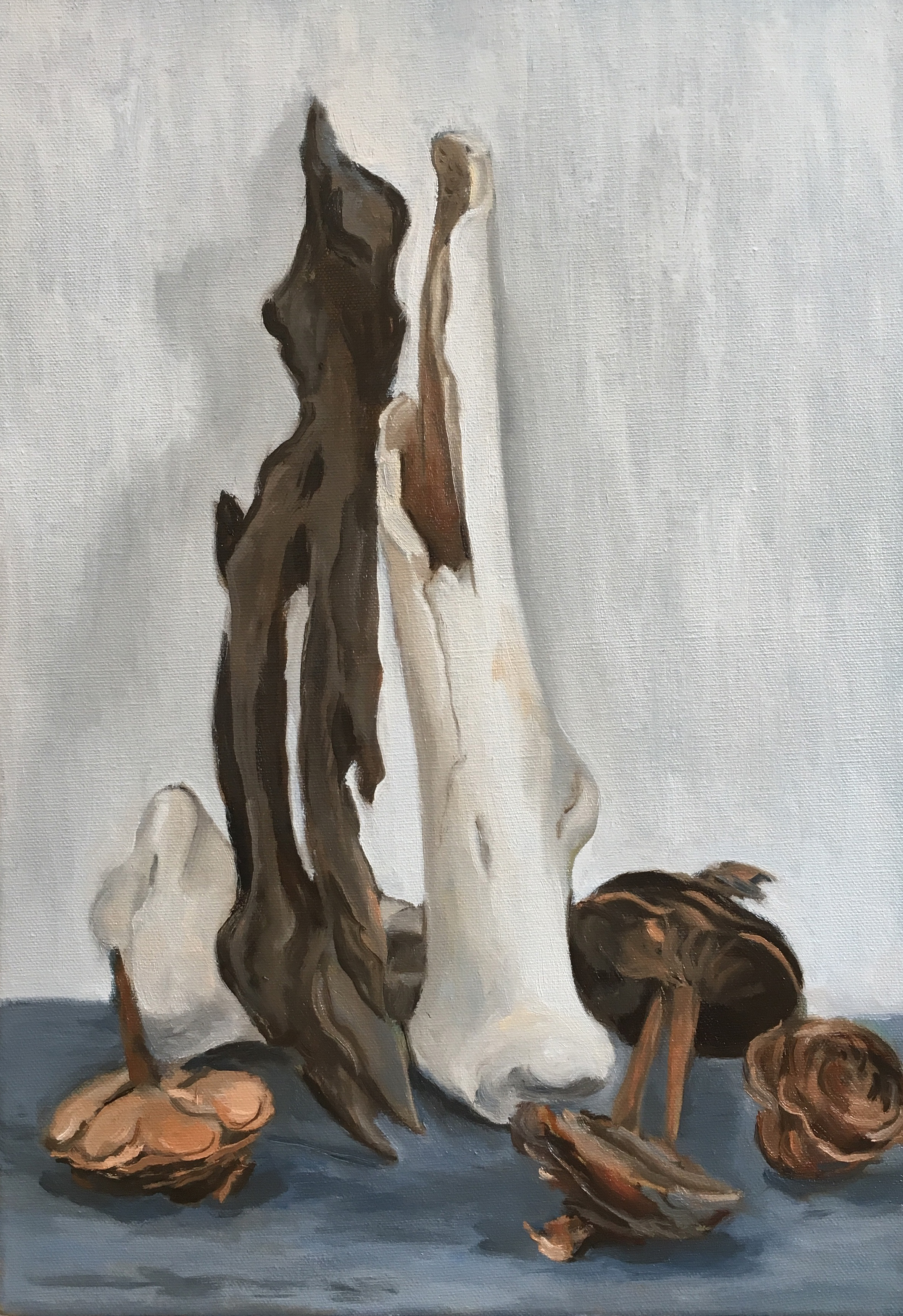 Bones and pinecones, oil on canvas