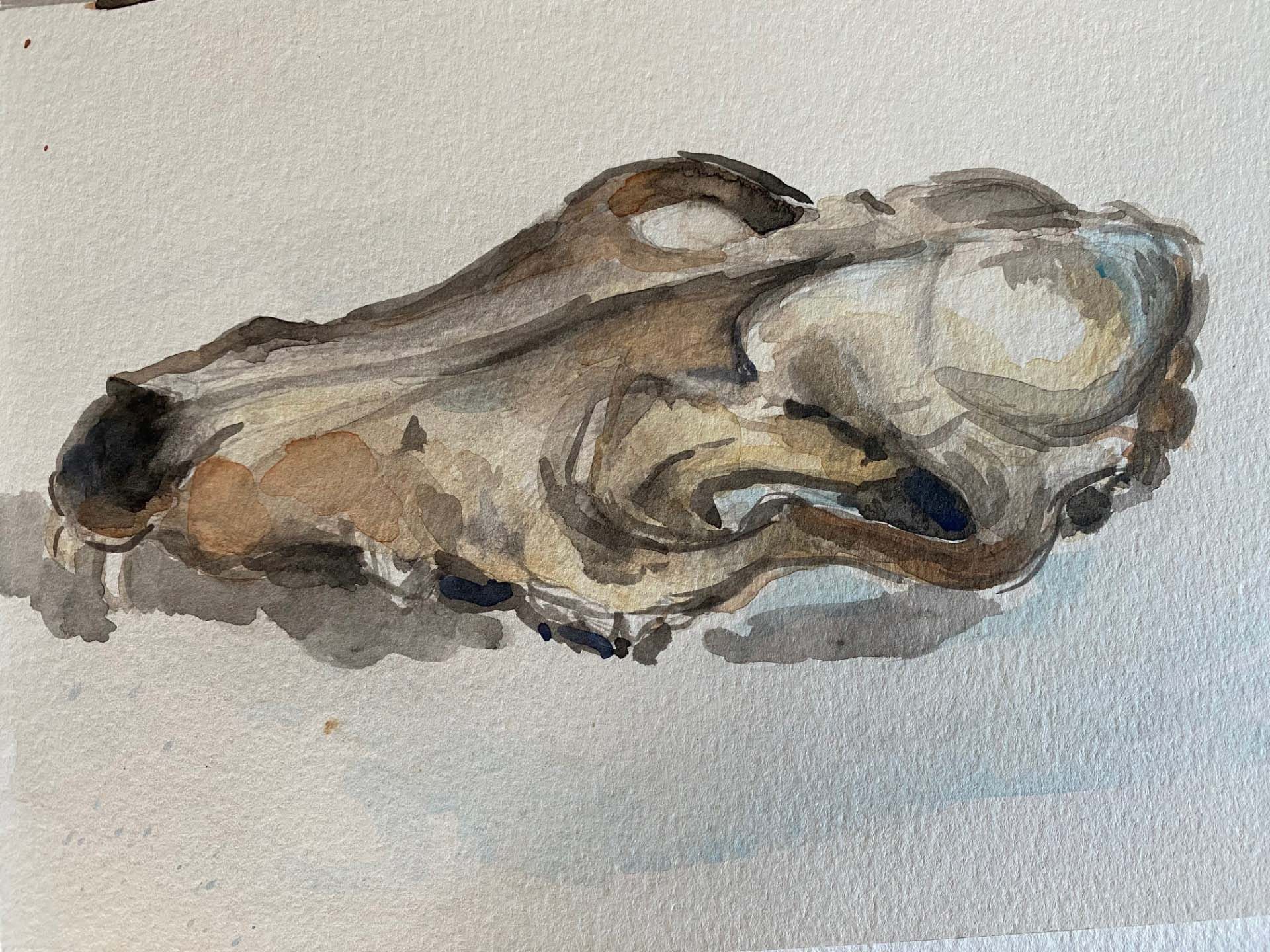 Skull